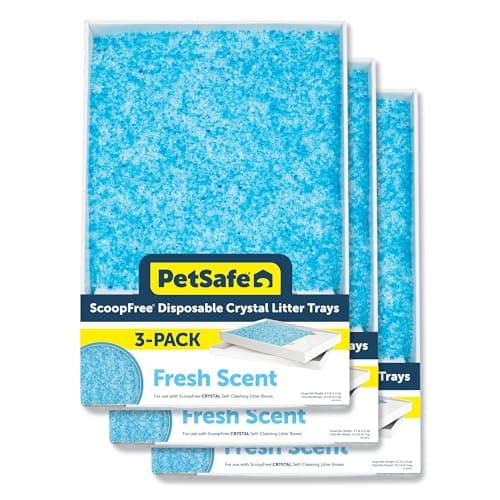 Reseña Arena Cristal para Gatos PetSafe ScoopFree 2025