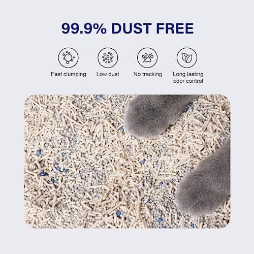 HONEY CARE Petrichor Mix Cat Litter I Tofu Cat Litter I Nature Plant-Based Pellets and Bentonite Sustainable I Low-Dust Qucik Clumping Superior Odor Control, 6 Lbs