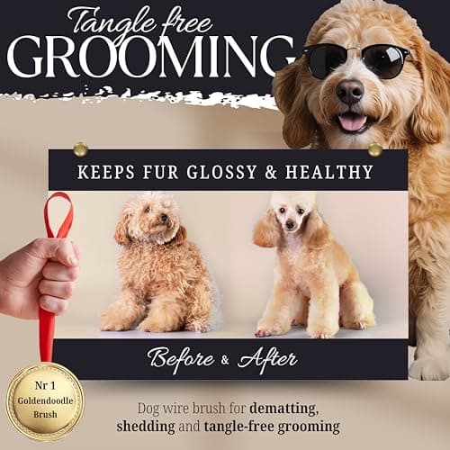 Bixy Pixy Dog Slicker Brush - Large - Protective Ball Tipped Pins Massages Pet Skin - Professional Groomer Dog Brush for Goldendoodle - Golden Retriever Brush (Large Size)