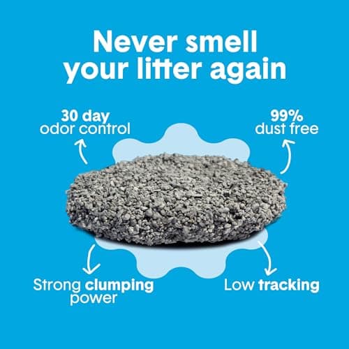 Boxie Unscented 30 Day Odor Control Clumping Clay Cat & Kitty Litter 16 lb, 99.9% Dust-Free, Hard Flat Top Clumps, No Fragrances No Fillers, Long-Lasting, Easy to Scoop