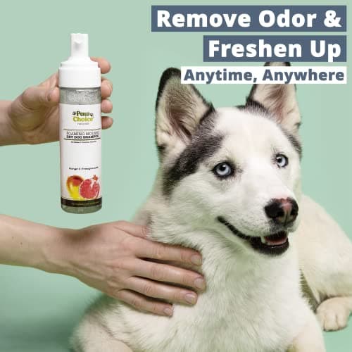 Paw Choice Dog Dry Shampoo - Hypoallergenic Waterless No Rinse Foam - Natural Coconut-Derived Cleanser - Quickly Deodorizes, Cleans & Conditions Between Baths - Made in USA - Mango Pomegranate