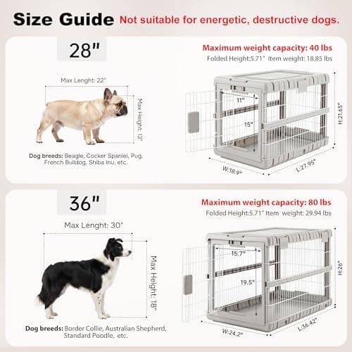 ZOMISIA Collapsible Dog Crate for Dogs - 28" L Heavy Duty Dog Kennel No Tools Required with 4 Sides Steel Foldable Cage for Dogs Indoor Furniture, Portable Carrier with 2 Smooth Wheels, Beige