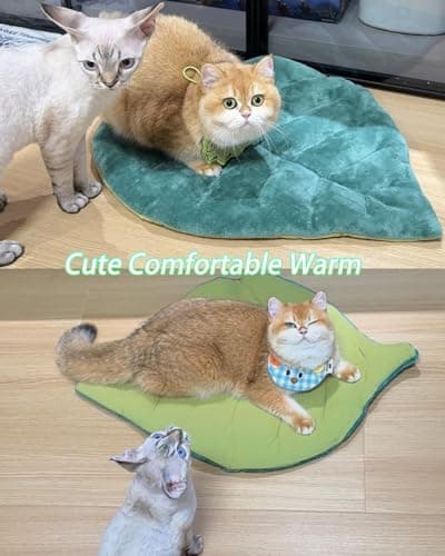 Rzxlszy Cat Mat Self Warming Cat Bed 26"x20" Leaf Shaped Cotton Soft Warm Pet Pad Blanket for Indoor Bed Couch Sofa Floors Cat and Dog (Green)