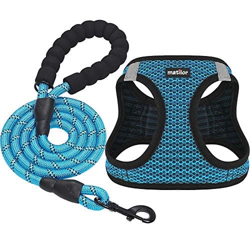 matilor Dog Harness Review – A Solid Step-In Vest for Small Pets
