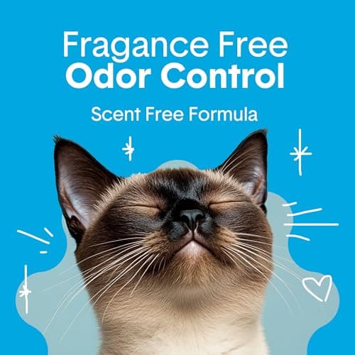 Boxie Unscented 30 Day Odor Control Clumping Clay Cat & Kitty Litter 16 lb, 99.9% Dust-Free, Hard Flat Top Clumps, No Fragrances No Fillers, Long-Lasting, Easy to Scoop