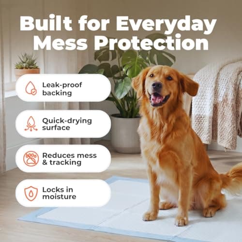 Best Pet Supplies XL (36 x 28 Inches) Puppy Pads 100 Count - Super Absorbent Dog Training Pads, Quick-Dry, Odor Control, Disposable Pee Pads, Leak-Proof Wee Wee Pads for Indoor Dogs – Baby Blue