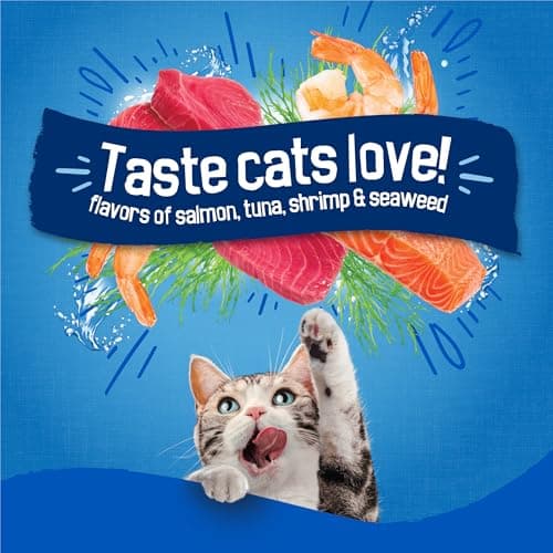 Purina Friskies Dry Cat Food Seafood Sensations With Salmon, Tuna, and Shrimp Flavors - 22 lb. Bag