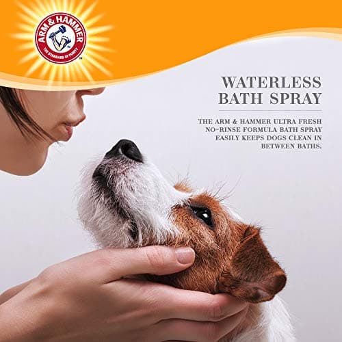 Arm & Hammer Ultra Fresh Waterless Dog Bath Spray, Baking Soda Deodorizer No-Rinse Dry Dog Shampoo for Between-Bath Odor Control and Coat Freshening, White Jasmine Scent, 10 Fl Oz
