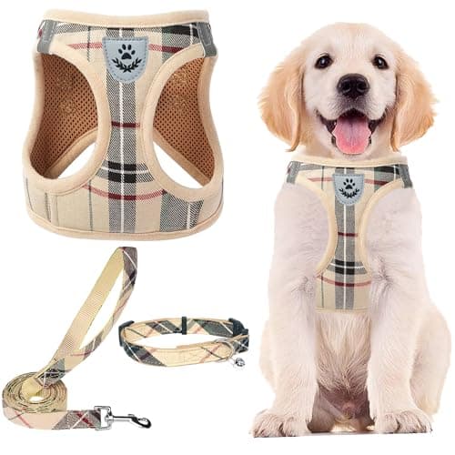Recensione Imbracatura PUPTECK Cane: Set Completo Guinzaglio e Collare