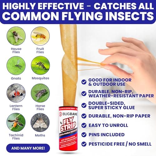 Fly Strips Indoor Sticky Hanging 10pk with Pins. Non Toxic Outdoor Fly Trap Indoor for Home. Flies Tape Paper Trap Ribbon Roll for House Gnat Fruit and Housefly. Bug Catchers for Inside Home Flypaper.