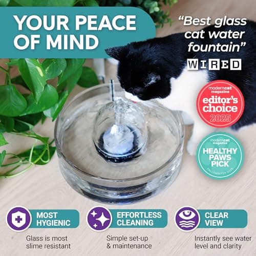 Brook Glass Pet Fountain (90oz/2.7L) – Cat & Dog Water Fountain – Glass Cat Fountain & Automatic Water Dispenser for Drinking
