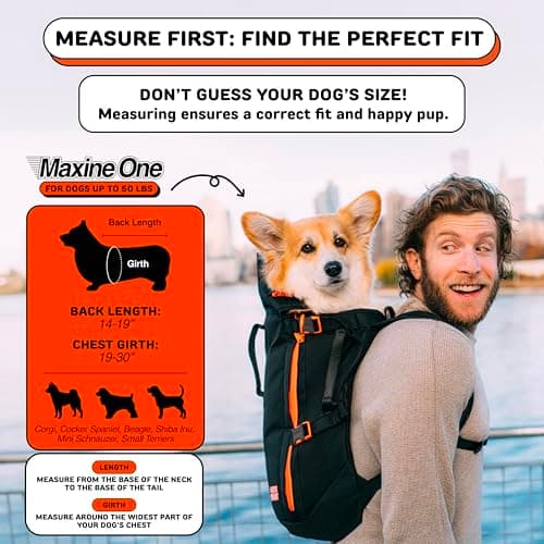 Maxine One Dog Backpack Carrier for Medium Dogs by Little Chonk | Adjustable & Ergonomic Front Facing Dog Carrier Backpack | Built to be Safer | Pet Backpack Carrier Featured in Wired Magazine - Black