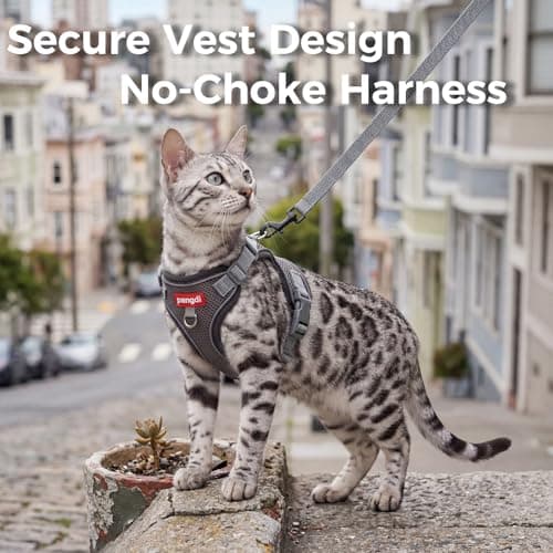 pangdi Cat Harness and Leash Kitten Harness Escape Proof Lightweight Breathable Mesh Cat Leash for Walking Travel, Grey, X-Large
