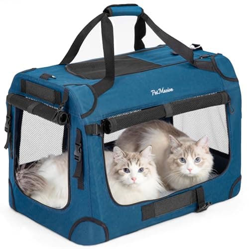 PetMasion Extra Large Cat Carrier Review: 2-Cat Travel Crate Tested