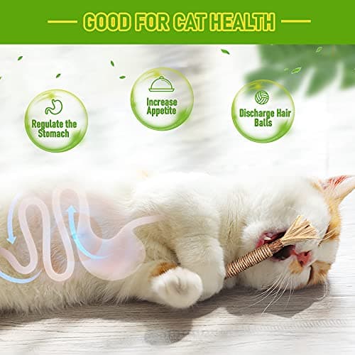 GBSYU 5 Pack Silvervine Cat Toy, Silvervines Sticks Cat Toys for Indoor Cats, Cat & Kitten Chew Toys for Aggressive Chewers, Cat Dental Toy for Kitten Teeth Cleaning, Matatabi Silvervine for Cats