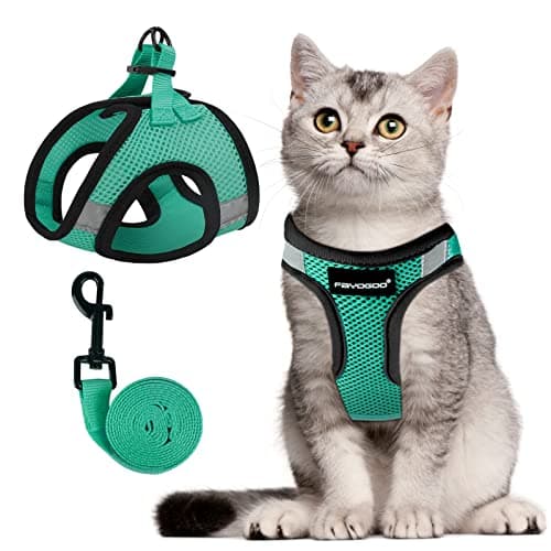 Arnés para Gatos FAYOGOO: Análisis Completo y Opinión