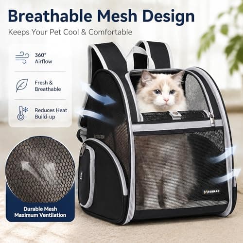 Cat Backpack Carrier for Small Dogs and Medium cat Puppy Kitten Bunny Pet Carrier Backpack Collapsible with Fully Ventilated Mesh with Safety Leash (Black, 12.9" L x 10.62" W x 15.5" H - M)