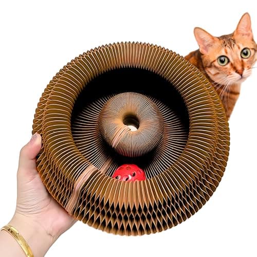 KITTY KURLZ Recensione: Il Giocattolo 3-in-1 che Sorprende