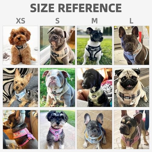 PUPTECK Soft Mesh Dog Harness Small Sized and Leash Set Pet Puppy Cat Comfort Padded Vest No Pull Harnesses, Beige, S