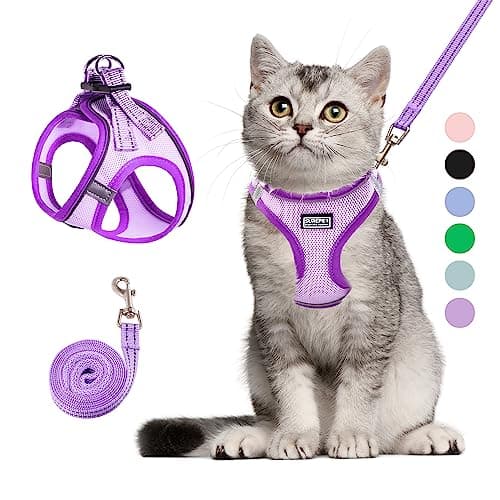 Imbracatura Gatto BETMAYPET: Recensione Completa del Set