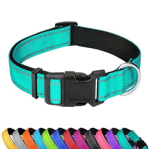 PWOD Collar Reflectante para Perros Medium - Análisis Completo