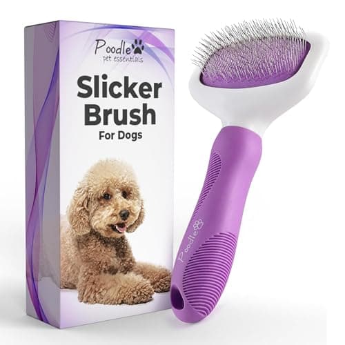 Brosse Démêlante pour Chat POODLIE : Mon Avis Complet (2024)