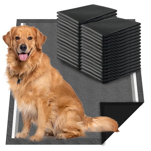 Dogcator Pannolini Assorbenti Extra Large per Cani: Recensione Onesta