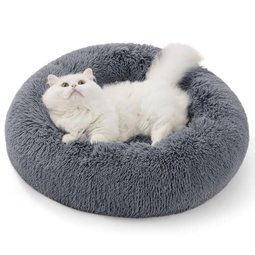 Bedsure Calming Donut Cat Bed Recensione – Il Lettino che Calma davvero?