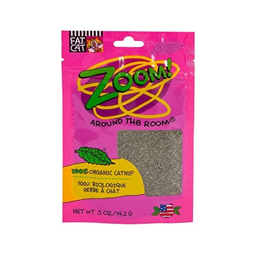 Petmate Organic Catnip Review – Real Cat Test Inside