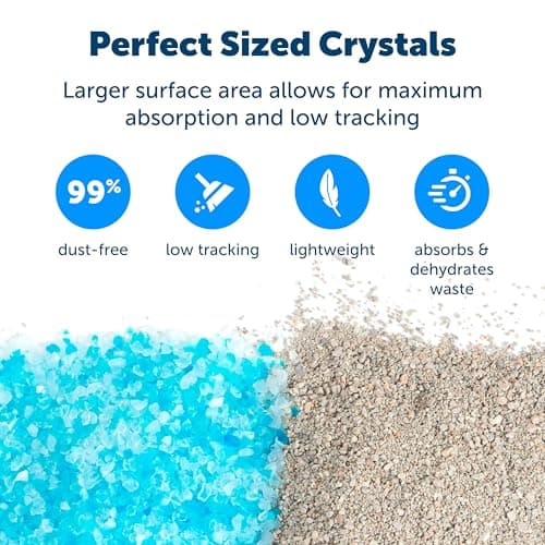PetSafe ScoopFree Premium Crystal Cat Litter - Outperforms Clay Litter - Refill Packs - Reusable Tray Compatible - Fresh Scent - 4.3 lb Bags - 2 Pack