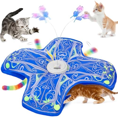 Qraxond Interactive Cat Toy Review: Rechargeable Hide & Seek Fun