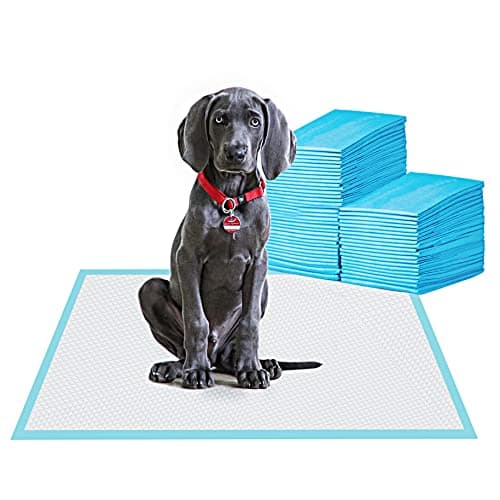 BESTLE Pet Training Pads 24x24 Review: Do They Actually Work?