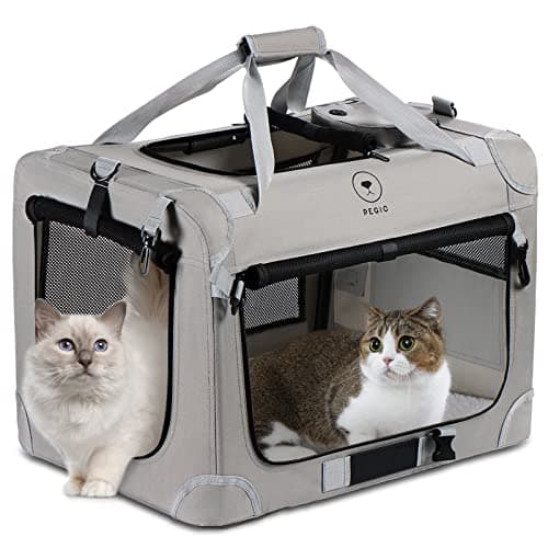PEGIC Extra Large Cat Carrier for 2 Cats Review – Honest Verdict