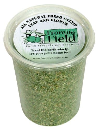 from The Field Catnip Review: Potent Organic Blend Tested