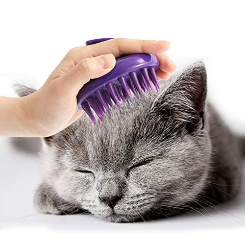Silikon kattborste – recension av CeleMoon avlägsnare 2024