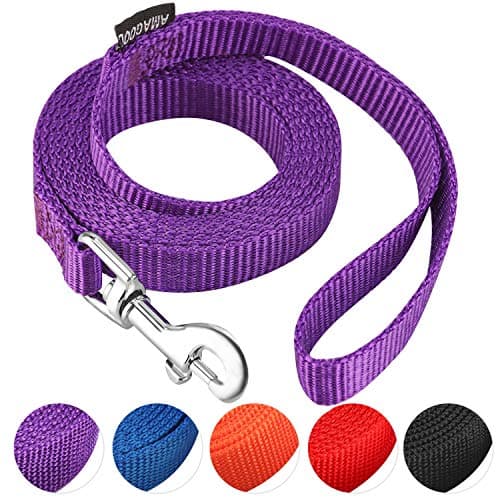 AMAGOOD Correa para Gato 6 Pies — Reseña Honesta y Prueba de Uso