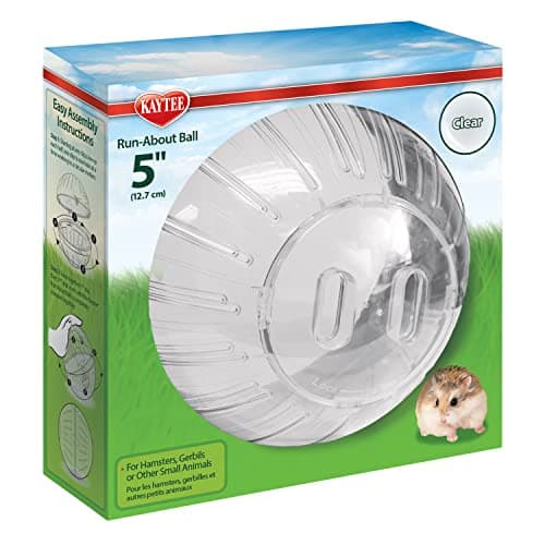 Kaytee Run-About Exercise Ball Review: Safe Play for Dwarf Hamsters?