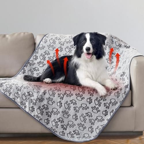Stuffed Premium Soft Dog Blanket Review – Is It Worth It?