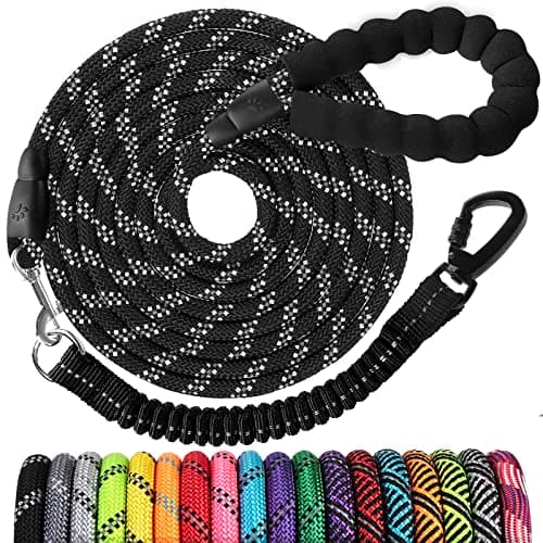 Long Dog Leash 10 FT Review: Heavy Duty Rope Leash Tested