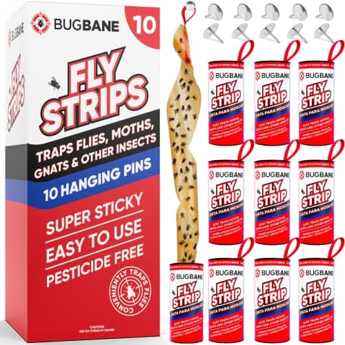 Fly Strips Review 2025 – BugBane Lijmstrips Getest