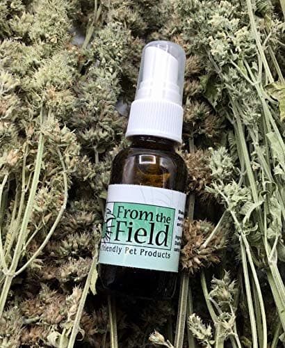 from The Field | Catnip Spray Rejuvenator | Potent Catnip Essential Oil for Cats | Revives Toys & Scratching Posts | Mess-Free & All-Natural | USA-Made, Safe & Non-Toxic | 1 oz Bottle
